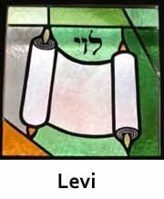 Levi copy1.jpg